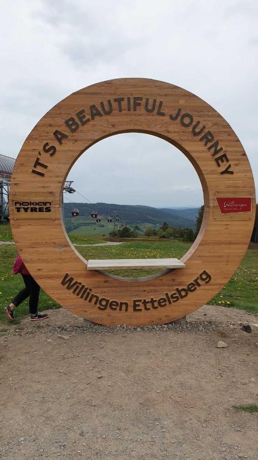 Ferienwohnung Mohnwiese Und Blumenwiese Willingen  Exteriér fotografie