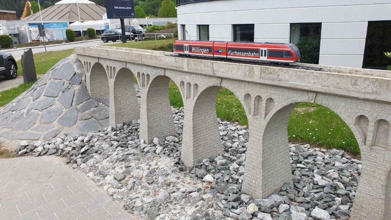 Ferienwohnung Mohnwiese Und Blumenwiese Willingen  Exteriér fotografie